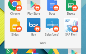 Google Play for Work